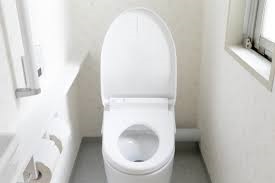 男が洋式トイレで立ったままおしっこすると、トイレが汚れる | 健康トピックス