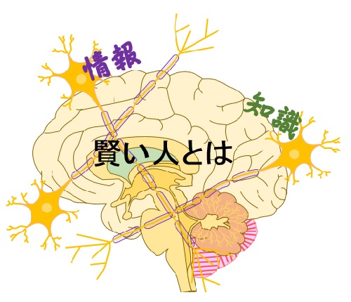 右脳人間と左脳人間 | 賢脳トピックス